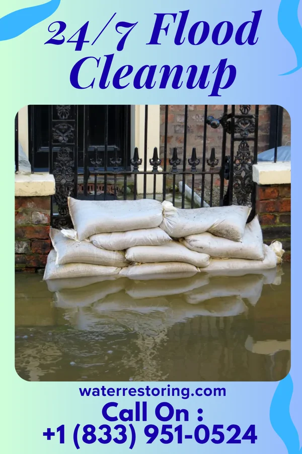 24/7 Flood Cleanup in Wyatt, MO