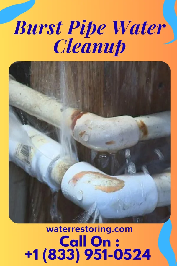 Burst Pipe Water Cleanup in Wyatt, MO