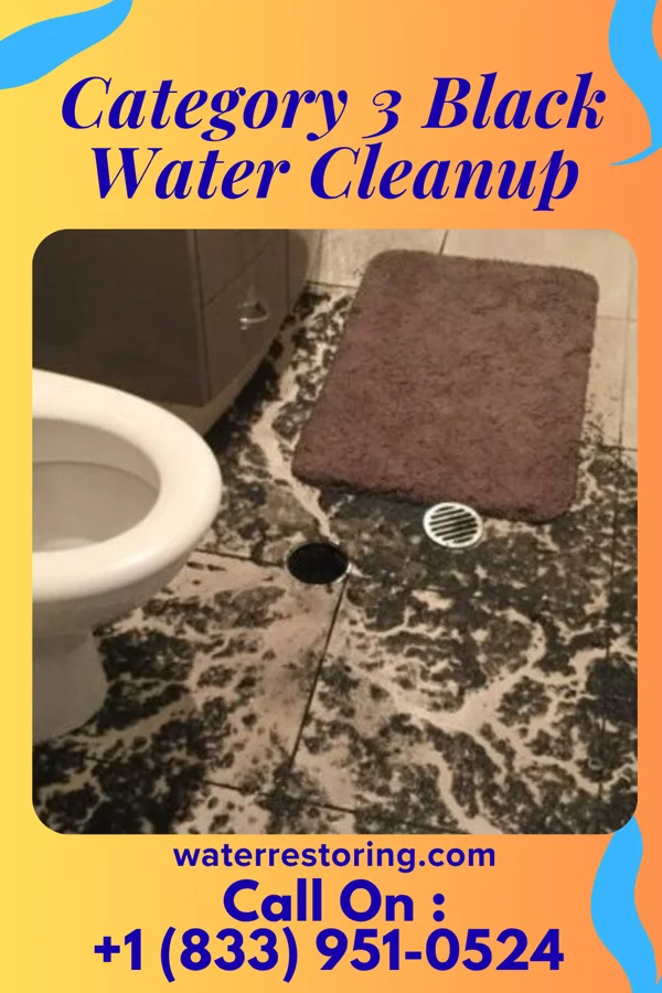 Category 3 Black Water Cleanup in Wyatt, MO