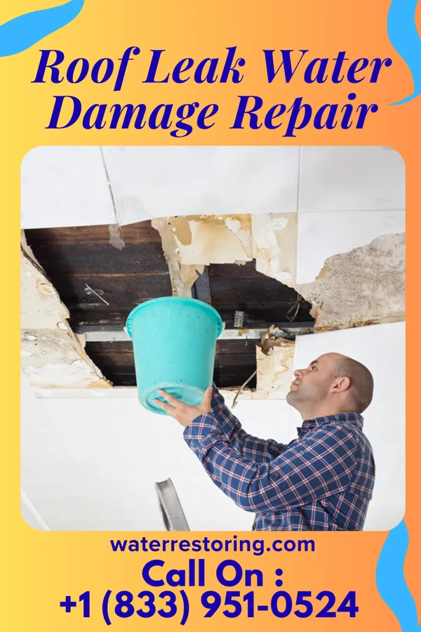Roof Leak Water Damage Repair in Wyatt, MO