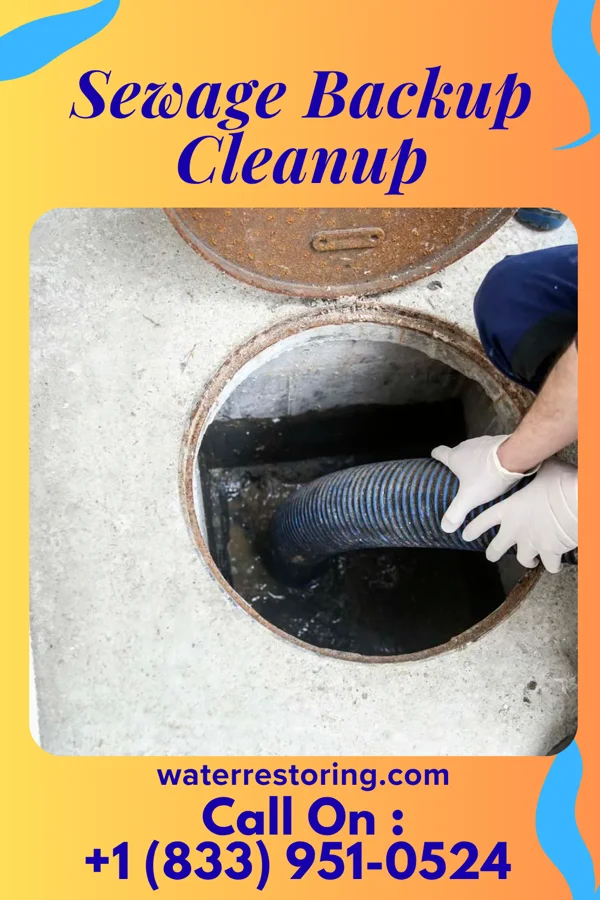 Sewage Backup Cleanup in Wyatt, MO