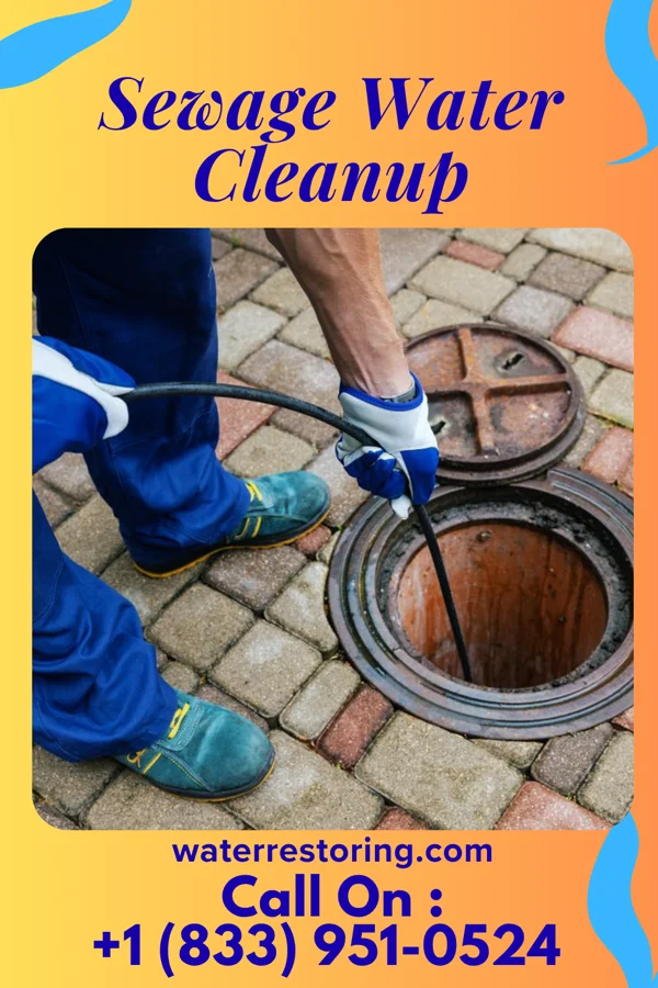 Sewage Water Cleanup in Wyatt, MO