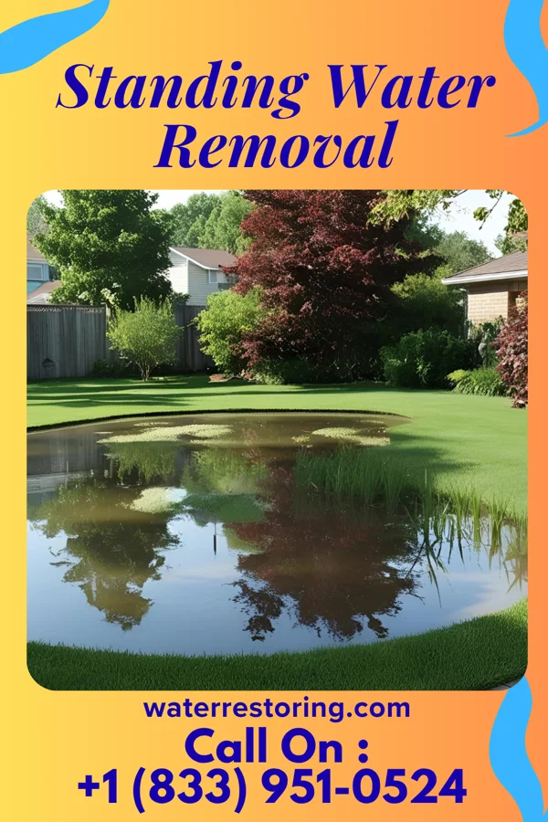 Standing Water Removal in Wyatt, MO